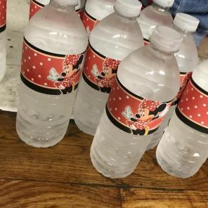 Minnie mouse watrbottle labels