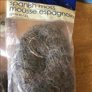 Spanish moss