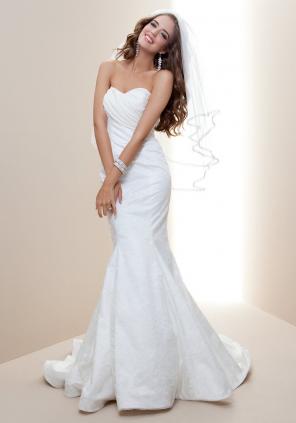 Bebe Dresses