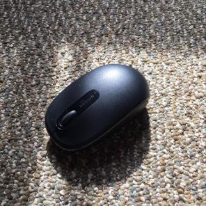 Computer Mouse