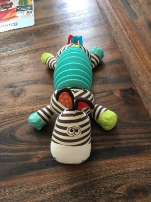 Baby Squeeze Toy - B Baby Brand