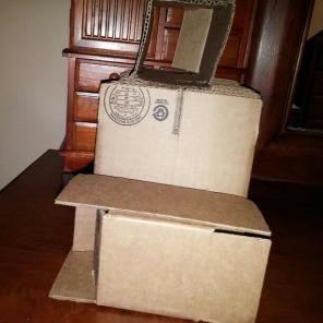 25 Small Boxes Shipping Supplies