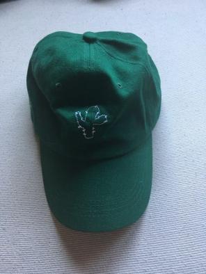 Travis Scott Cactus Hat