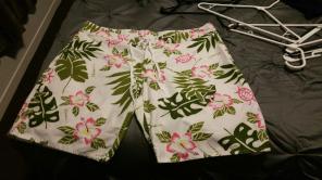 Hawaiian board shorts