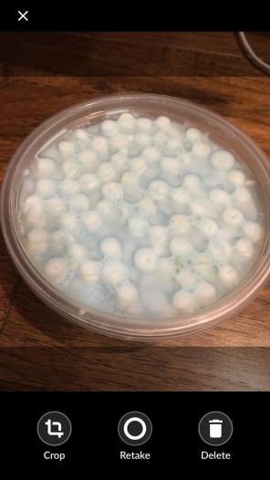 Ocean Pearl Floam Slime