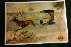 Huge 1992 john deer print