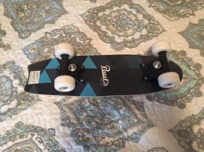 17" Penny Board! Free Shipping!