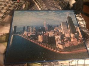 Chicago Puzzle Portrait