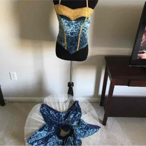 Weissman ballet pointe costume tutu