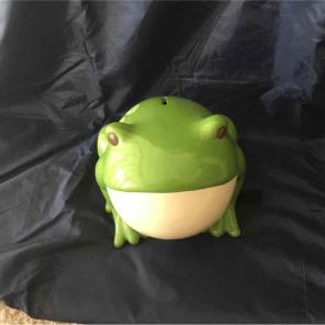 Frog piggy bank