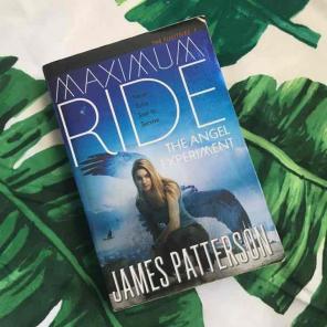 maximum ride: the angel experiment