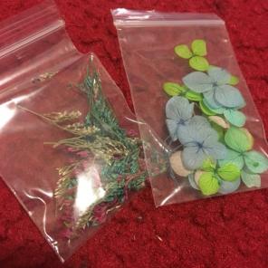 Real Dried Flowers