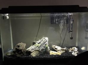 Fish Tank