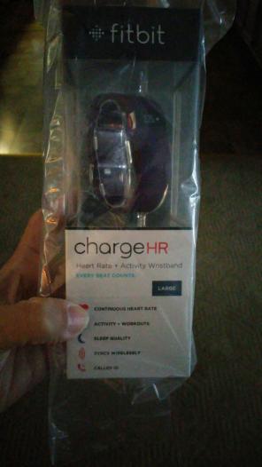 Plum large fitbit