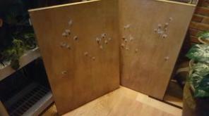2 canvas paintings 31x22 ea