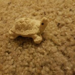 A carved rock Turtle