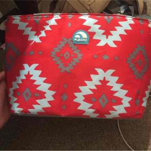 Igloo lunch box