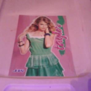 TAYLOR SWIFT/JOE JONAS 8x10 Pin-Up!