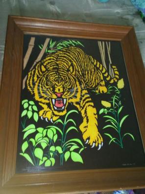 Tiger drawing
