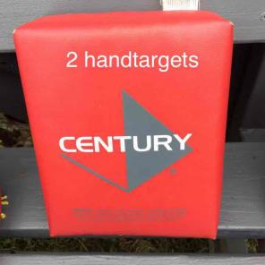 2 Martial Arts Hand Targets