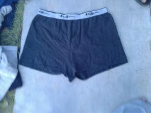 Champion Boxers