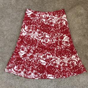 Anthropologie Ruth Size 4 Skirt