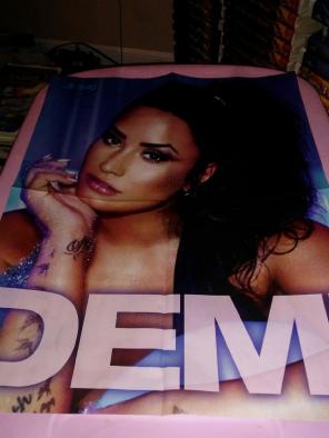 DEMI LOVATO/TheCHAINSMOKERS 16x20 Poster