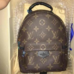 mini palm spring backpack