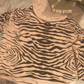 Zebra sweater like