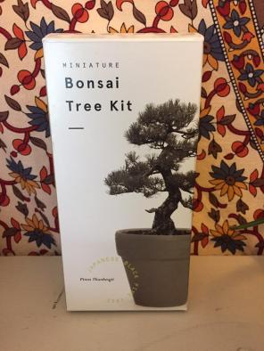 Bonsai Tree Kit