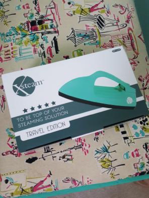 Travel steam iron