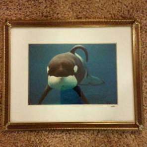 Framed whale picture