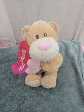 Valentine's Day Justin Bieber Bear