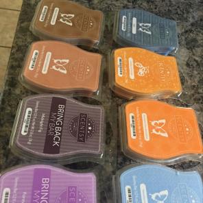 Scentsy $5 Piece .