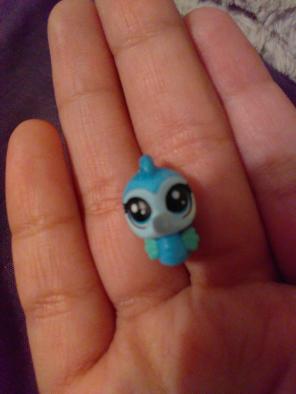 Little seahorse call Blue