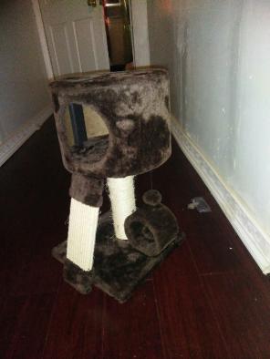 Small Kitty Playpen