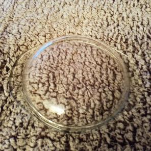 Pyrex casserole lid
