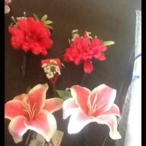Customized lily package.