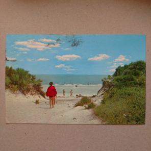 1900's Myrtle Beach, SC Postcard