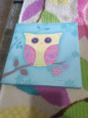 Owl pictures.