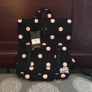 Hershel Bag