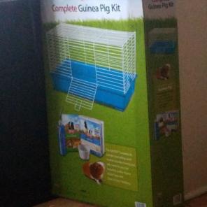 Guinea Pig Cage