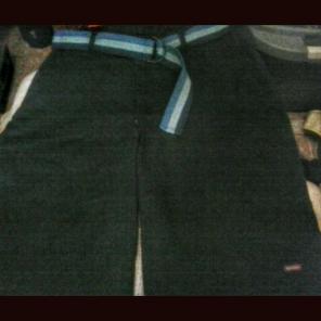 Dickies Mens Navy Blue Shorts 38