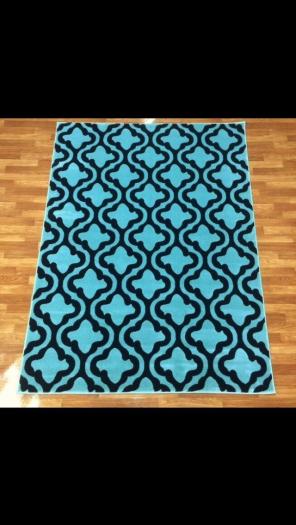 Brand New Rug 5'x7'