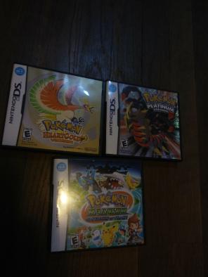 DS cases. (only game case)