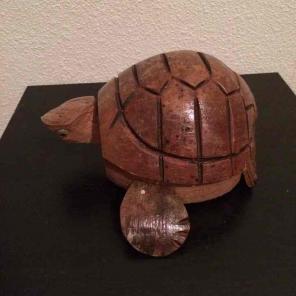 Turtle