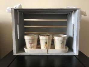 Rae Dunn Planter