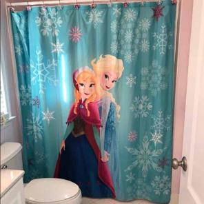Frozen bathroom accessories