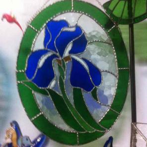 Blue Iris Beauty