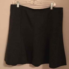 Ann Taylor Skirt